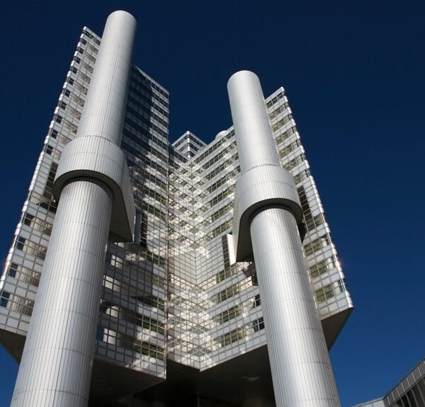 backlink growth enhances authority