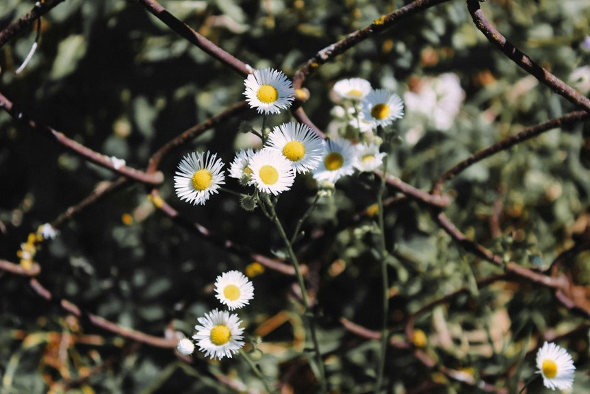 boosting blog traffic strategically