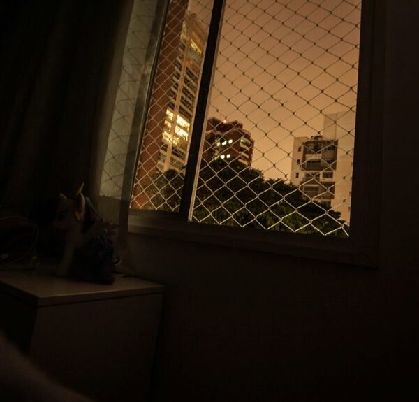 link building for marketing