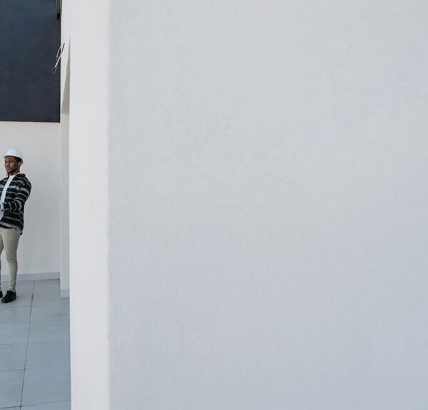 link development for authority