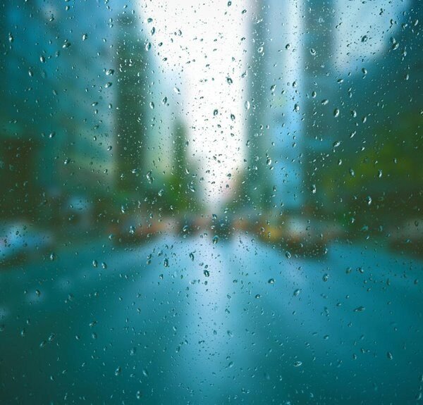 website authority enhancement efforts